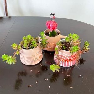 Meet your Posher, Mai